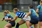 Women's Rugby vs Endicott  Wheaton Women's Rugby vs Endicott College.  Photo by Keith Nordstrom : Wheaton, Rugby, Endicott